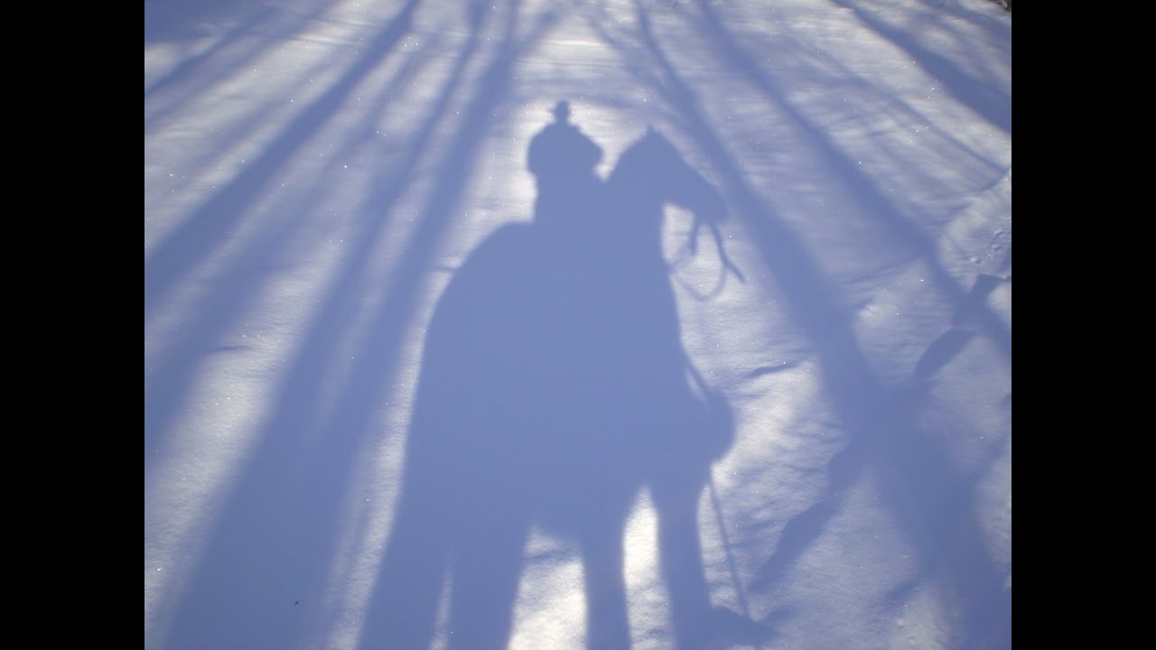 zodiac signs in hindi Astrology for the Soul October 13, 2016