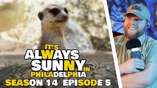 Its Always Sunny 14x5 Reaction: The Gang Texts
Hope you all enjoy my reaction as I watch Its Always Sunny In Philadelphia for the first time.
Full length reactions, early access videos & Patreon only polls: https://www.patreon.com/brandonlikesmovies
Original show on FX: Its Always Sunny In Philadelphia (2005-Present)
*Copyright Disclaimer Under Section 107 of the Copyright Act 1976, allowance is made for fair use for purposes such as criticism, comment, news reporting, teaching, scholarship, and research. Fair use is a use permitted by copyright statute that might otherwise be infringing. Non-profit, educational or personal use tips the balance in favor of fair use. NO COPYRIGHT INFRINGEMENT INTENDED. All rights belong to their respective owners. Its Always Sunny 14x5 Reaction: The Gang Texts
