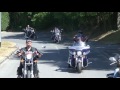 Dfil chapter harley st maximin