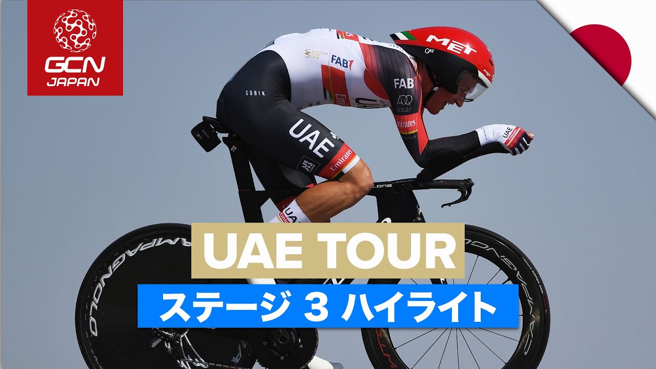 TTレースバイク 米国 PARLEE トライアスロン 別注 200万相当 未走行 TTレースバイク 米国 PARLEE トライアスロン 別注 200万相当 未