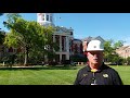 Pin oak removal on Francis Quadrangle