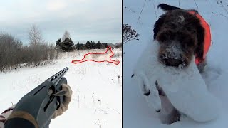 Беляк натоптал много,но мы его обхитрили! Охота на зайца 2022