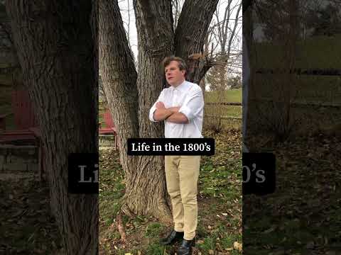Life in the