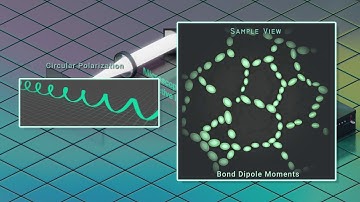 Microscopy Principals: Second Harmonic Generation with Polarization