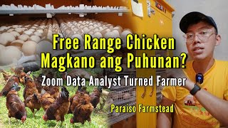 Magkano Puhunan? At Market? Free Range Chicken - Paraiso Farmstead Part 2