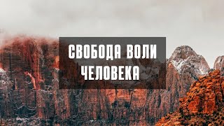 Свобода воли человека. Проповедь Александр Ермолаев