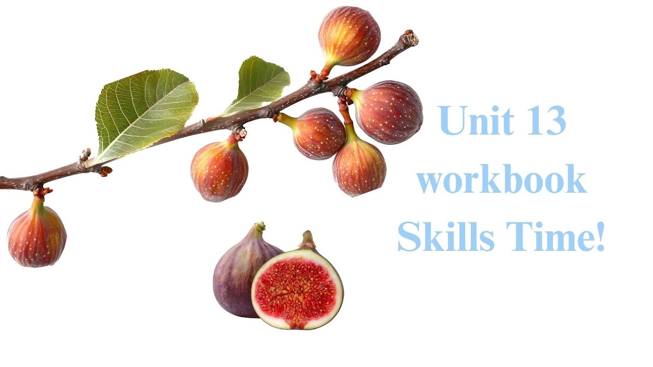 Family and Friends workbook2 unit13 Skills Time! - YouTube