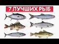 Обязательно попробуйте ЭТУ рыбу! / Подборка уникальных видов рыб, которые заменят любой деликатес