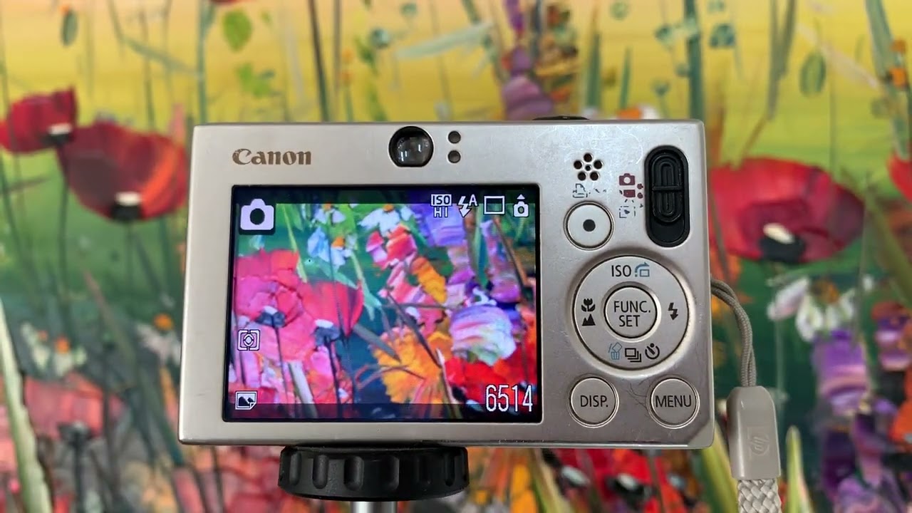 Canon PowerShot SD1000-7.1MP Digital ELPH Camera