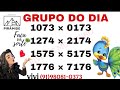 PALPITES PARA O DIA 19 DE MAIO DE 2026