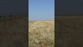 3 Color Desert in the High Plains
