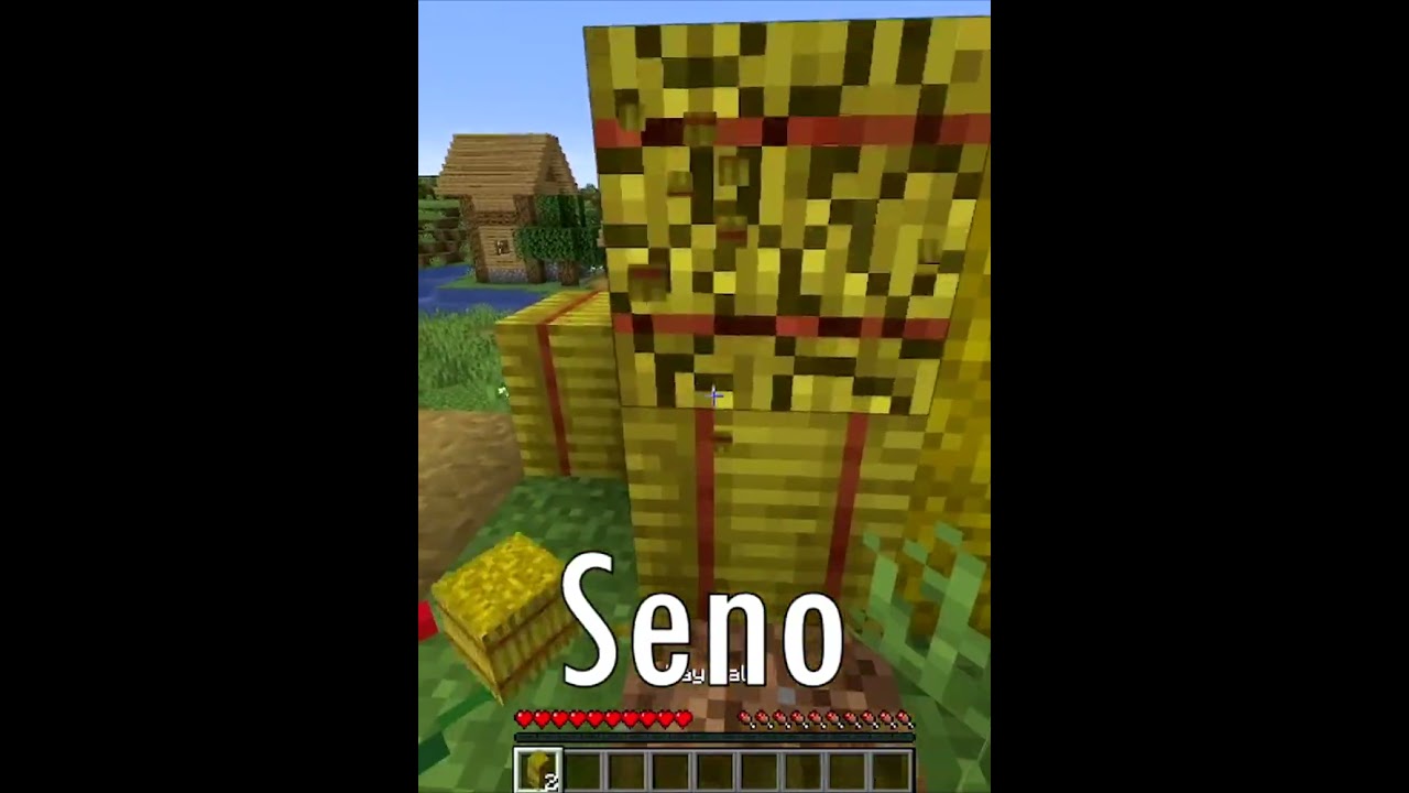 Minecraft, Ali Ne Smem Da Kažem Slovo A! #minecraft #challenge #letter