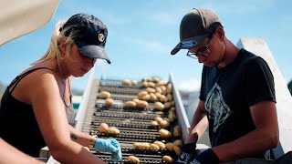 Saisonbox Produzentenportrait Lehnerhof, Oberbüren