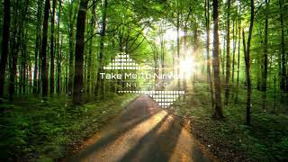 NICCKO - Take Me To Nirvana Resimi