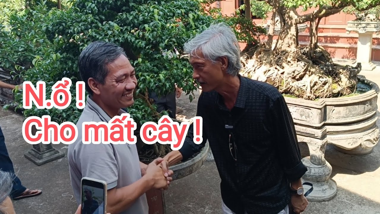 Gã Đầu Bạc cho anh Lai mất cây trong tích tắc.