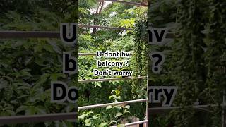 Window Decoration Ideas