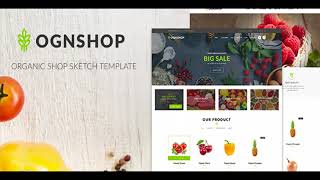 Ognshop - Organic Food Health Products Sketch Template Themeforest Website Templates And Themes