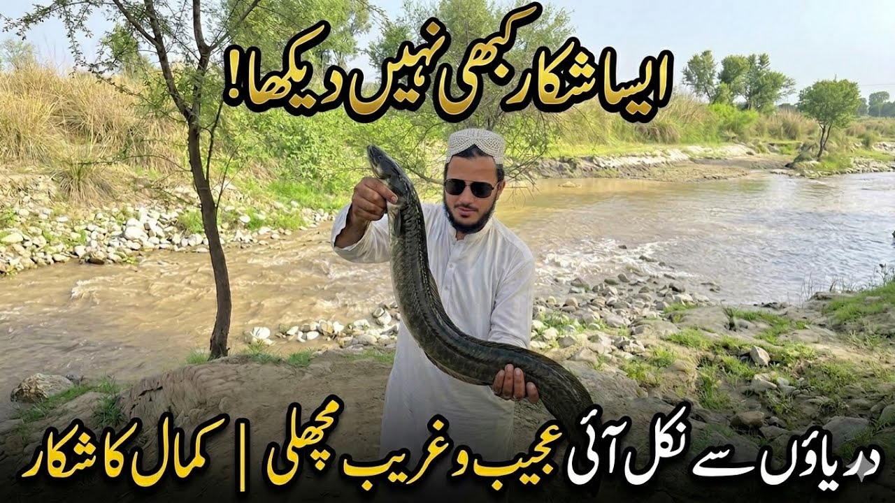 Rare Snake Fish Rare Snake Fish Catch 😱 | Dangerous River Fishing in Pakistan 🇵🇰” - YouTube