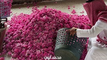 سورة الجن كامله لفضيلة الشيخ #محمد_أيوب رحمه الله |#explore