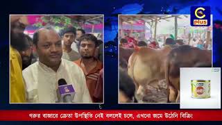 এখনো জমে উঠেনি বিক্রি! দেখছেন A K Dairy Present's চাটগাঁজুড়ে গরুর হাট। মইজ্জারটেক থেকে সরাসরি