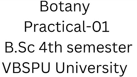 Botany practical record file BSc 4 semester VBSPU