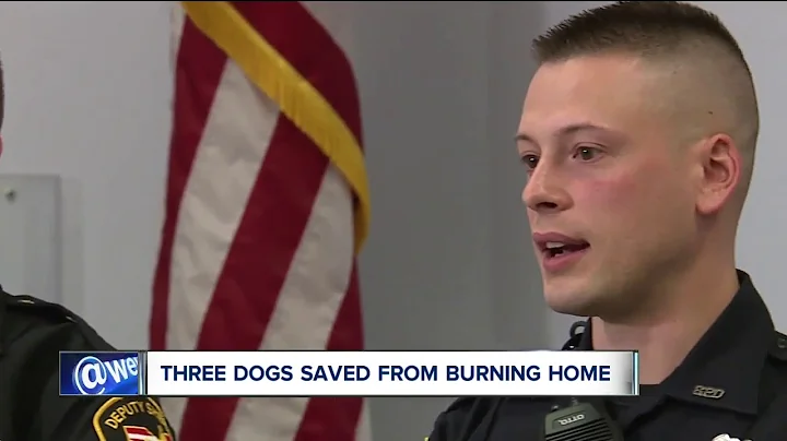 VIDEO: Deputies, firefighters rescue and revive 3 beloved family dogs from burning home