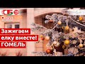 В Гомеле зажигают главную новогоднюю елку | ПРЯМОЙ ЭФИР