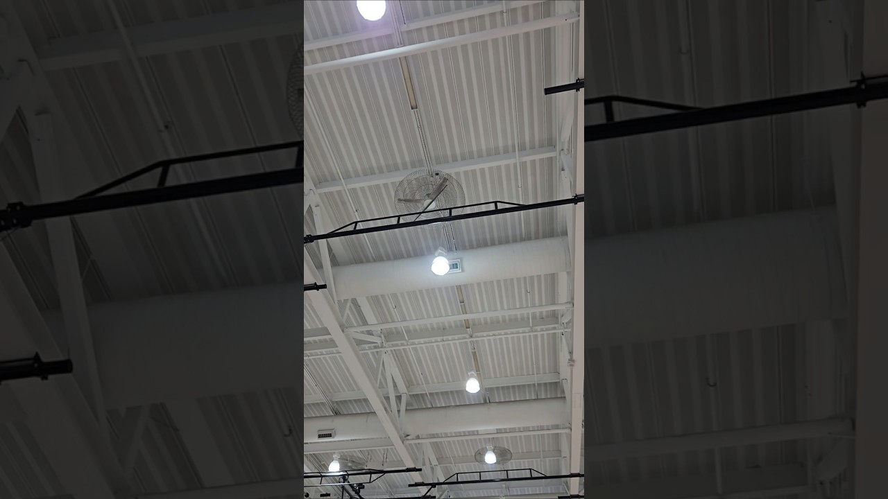 Dana hall school ceiling fans
