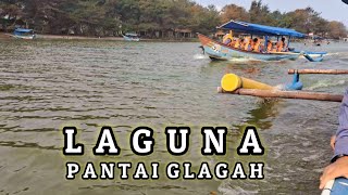Definisi Healing Murah: Menyusuri Laguna Pantai Glagah Cuma 10 Ribu 