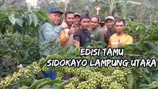 MELIHAT KEADAAN KEBUN KOPI BANG SAPUTRA 2025