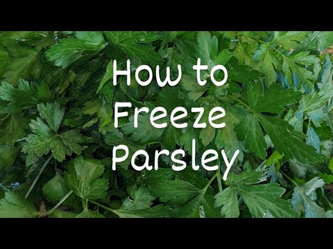 Comment gel Persil