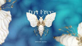 Saint Code, Aleh Team Im Free