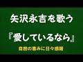 『愛しているなら』/矢沢永吉を歌う_6122 by 自然の恵みに日々感謝