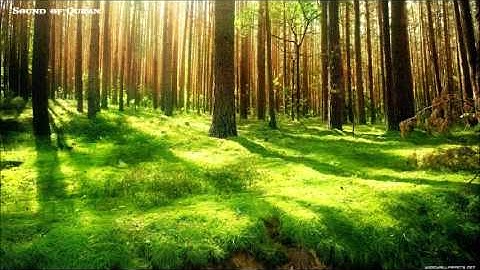 Nabil Ar-Rifai - Sourat AlAn'am سورة الأنعام نبيل الرفاعي