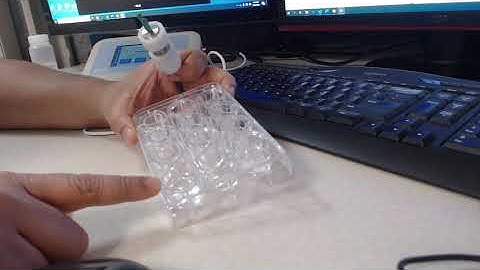 EVOM3 and STX2 PLUS Test