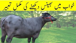 Khwab ki tabeer in hindi |khwab mein bhains dekhna|Buffalo dream meaning |خواب میں بھینس دیکھنا