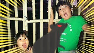 【寸劇】たすけて！こわいよ～！家からでられない！？ネズミがおいかけてくる～！！＊逃走中　こたみのチャンネル