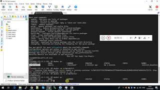 2  Difference between docker run  itd and docker run  it