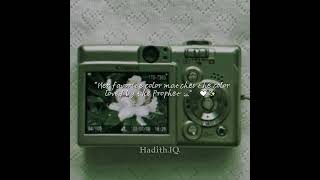 What Is You Favorite Color