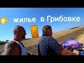 ГРИБОВКА - ЦЕНЫ НА ЖИЛЬЕ В АВГУСТЕ