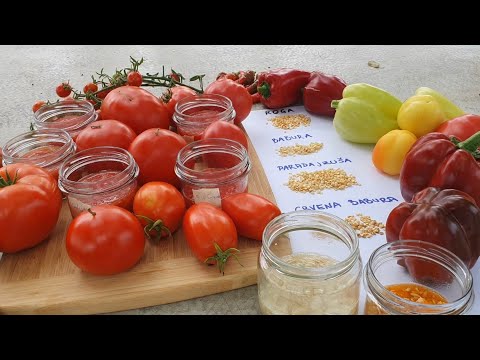 Video: Metode fermentacije povrća – Kako fermentirati povrće iz vrta