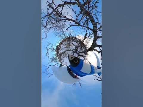 Как залезть на дерево на самолете) - YouTube