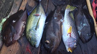 KEFING ISLAND #Episode 2 - One of the best Spot For Spearfishing #adonspearfishing