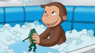 Georges le Petit Singe 🐵 La fête surprise 🐵 Dessins Animés