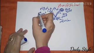 رسومات الأحياء الصف الثالث الثانوى / شير على أوسع نطاق