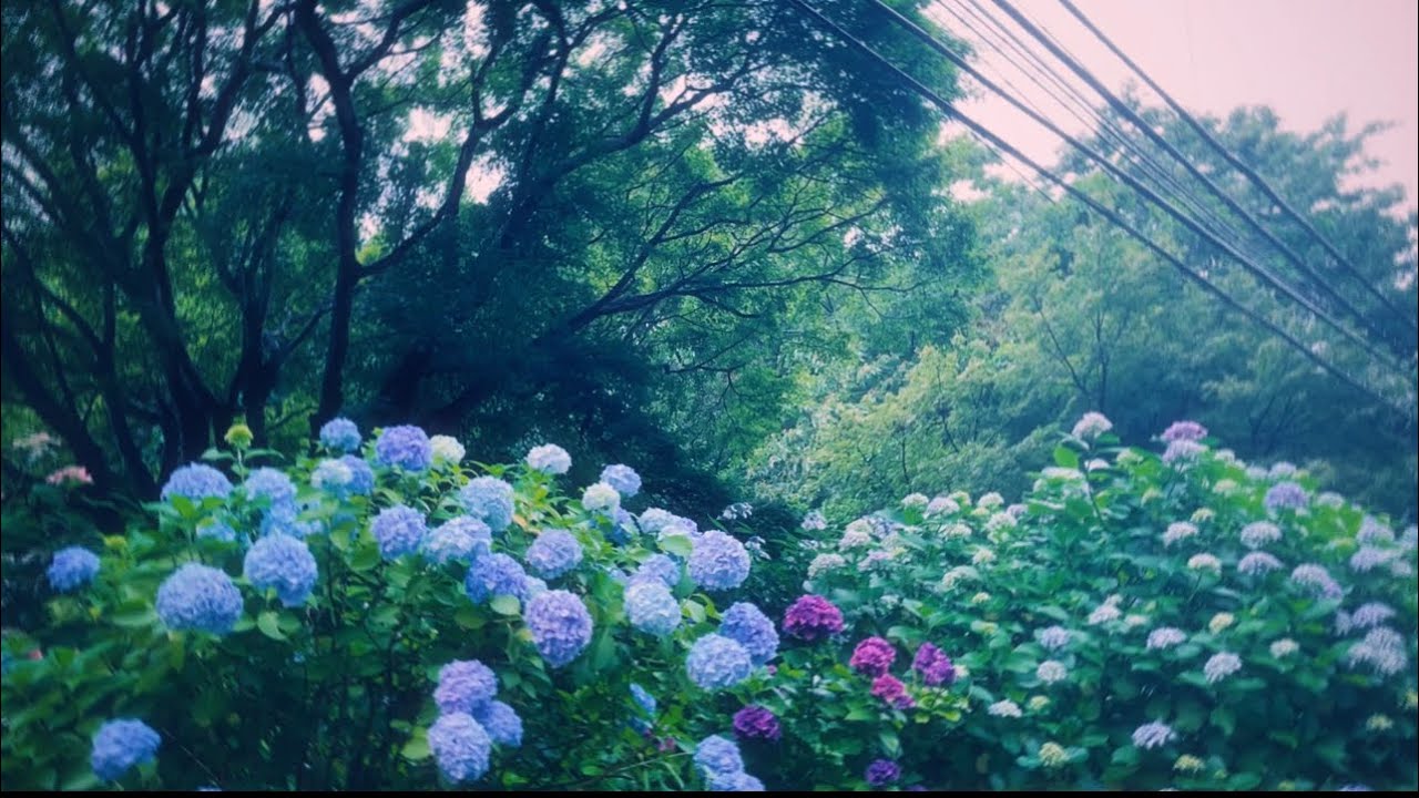 Watch The Zodiacal Afterimages "June" - Kazutoshi Sohta, featuring : Soshi Kubota on YouTube Watch The Zodiacal Afterimages "June" - Kazutoshi Sohta, featuring : Soshi Kubota on YouTube