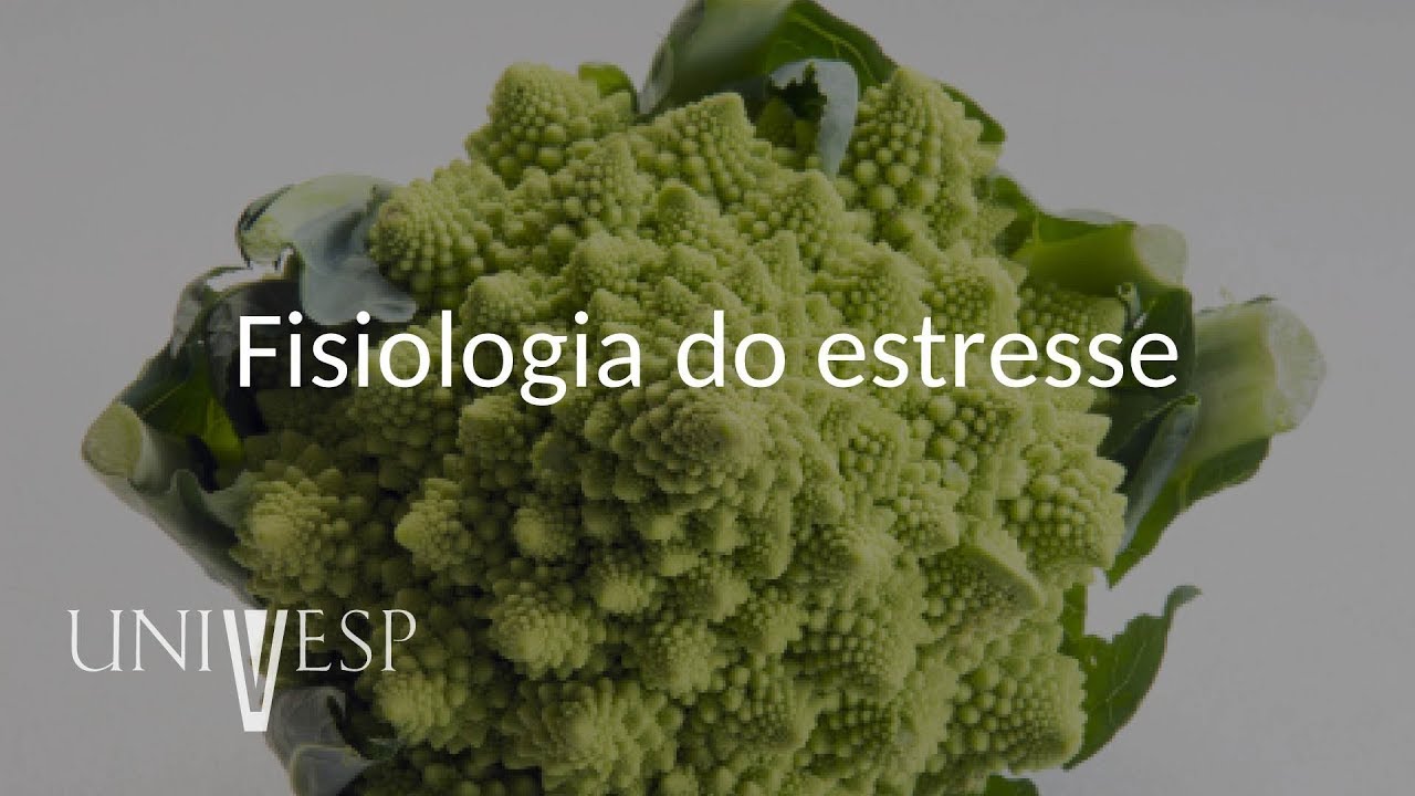 Fisiologia Vegetal - Aula 14 - Fisiologia do estresse