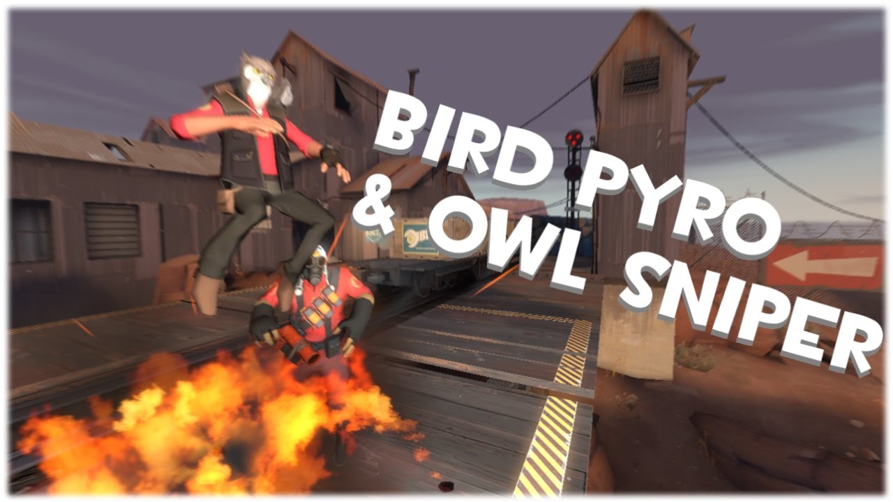 Bird Pyro & Owl Sniper [SFM]