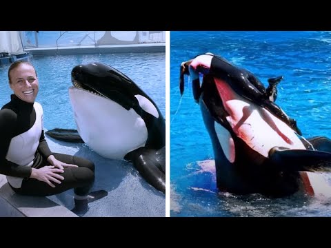 Шоу, которое закончилось смертью: трагедия в океанариуме #2