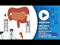 Organix Gastro - nowoczesne metody diagnostyki dysbiozy jelitowej